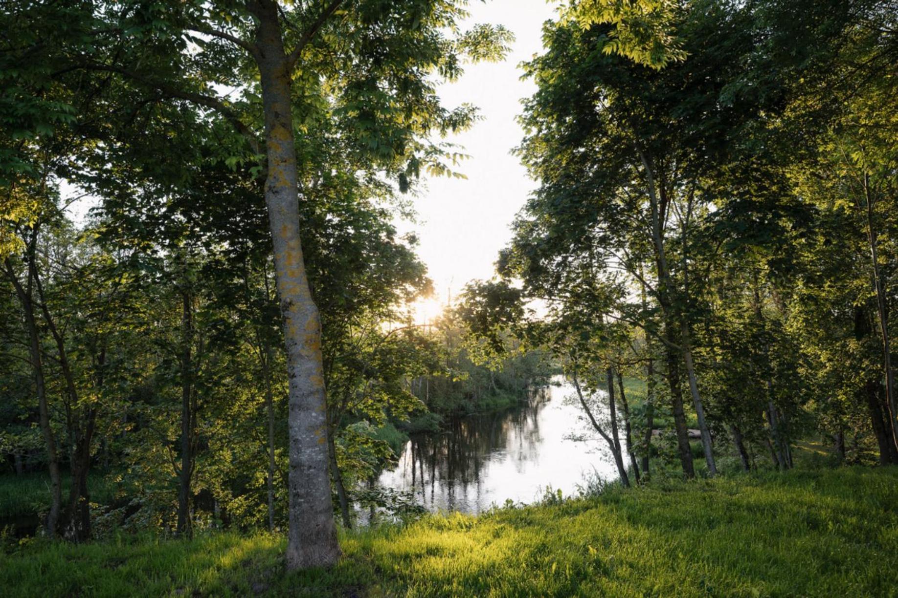 Rest Green Degesiai ภายนอก รูปภาพ